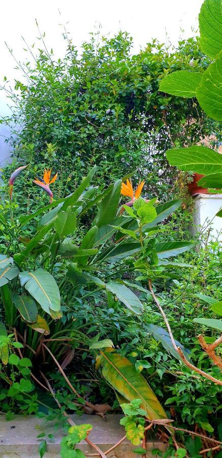 Villa Garden House Pompei Vesuvio Trecase Exterior foto