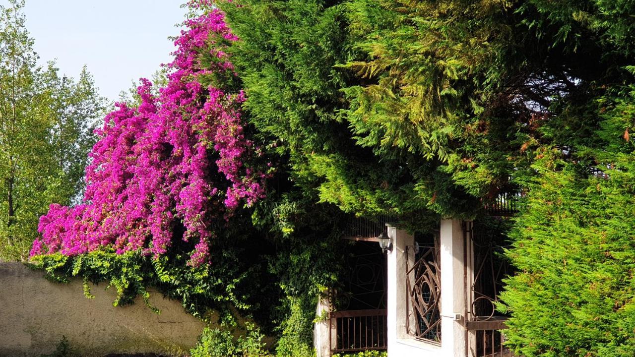 Villa Garden House Pompei Vesuvio Trecase Exterior foto