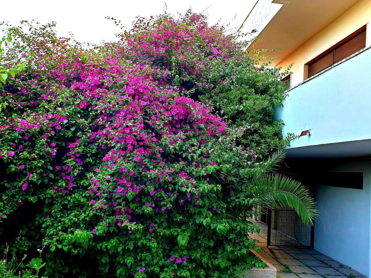 Villa Garden House Pompei Vesuvio Trecase Exterior foto