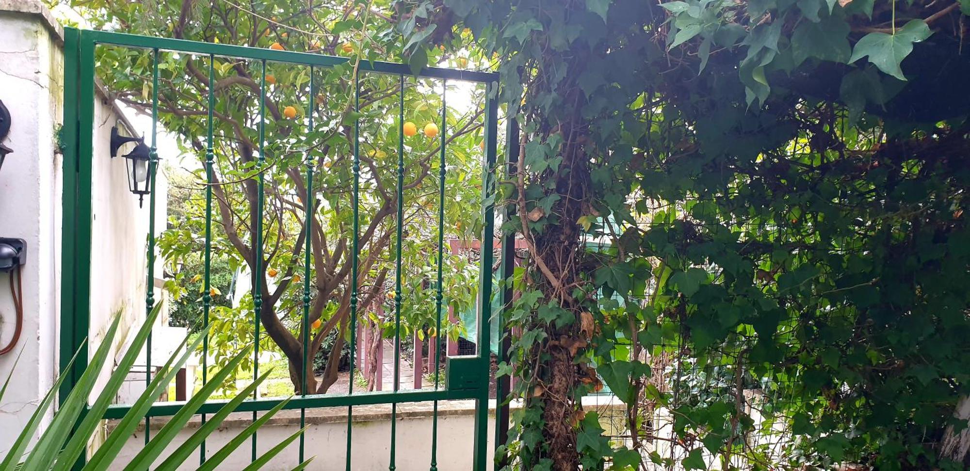 Villa Garden House Pompei Vesuvio Trecase Habitación foto