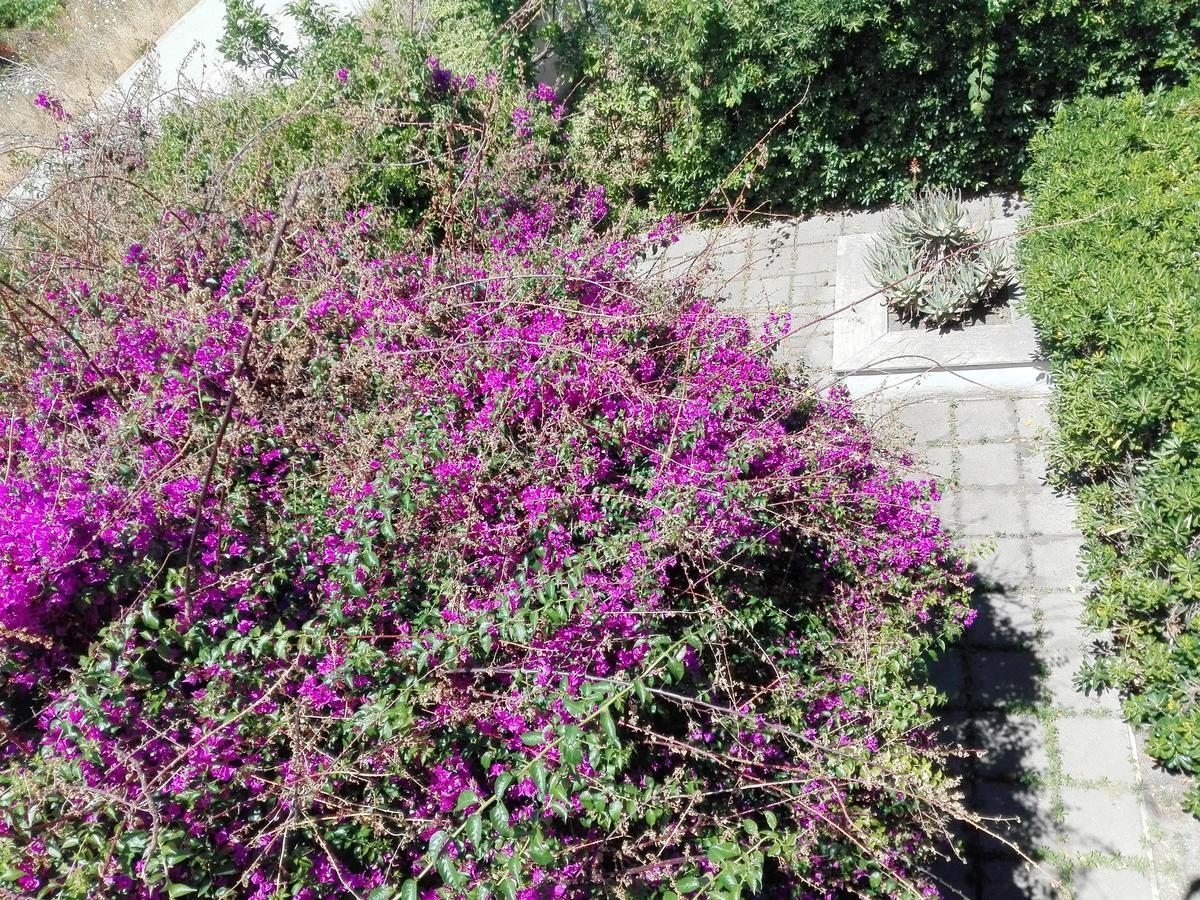 Villa Garden House Pompei Vesuvio Trecase Exterior foto